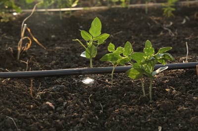 PRECISION IRRIGATION FOR OPEN FIELDS