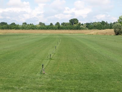 Field crops & vegetables