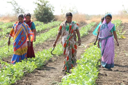  Cómo la innovación en Agritech está empoderando a las mujeres en el mundo en desarrollo