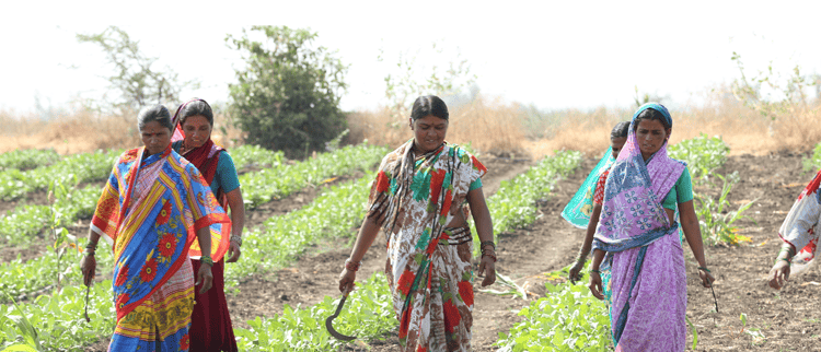 How Innovation in Agritech is Empowering Women in the Developing World