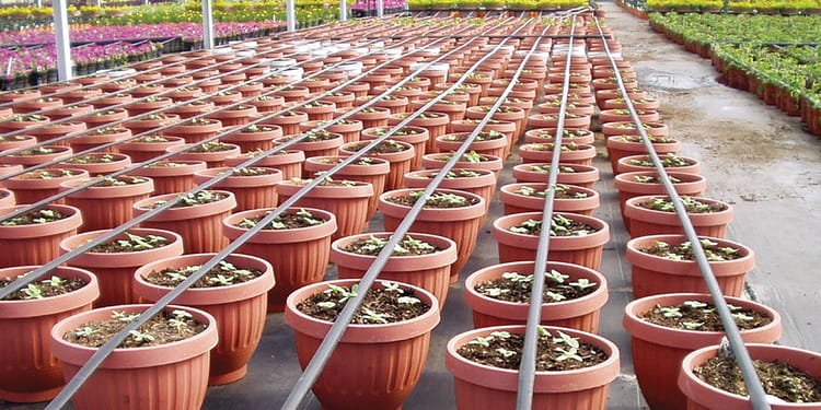 Driplines for precision irrigation 