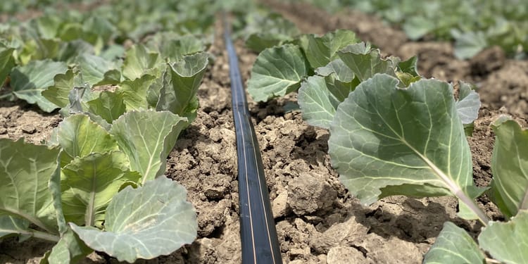 Funding Resources for Farmers