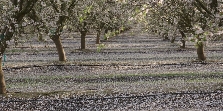 Matching Corporations and Farmers to Opportunities