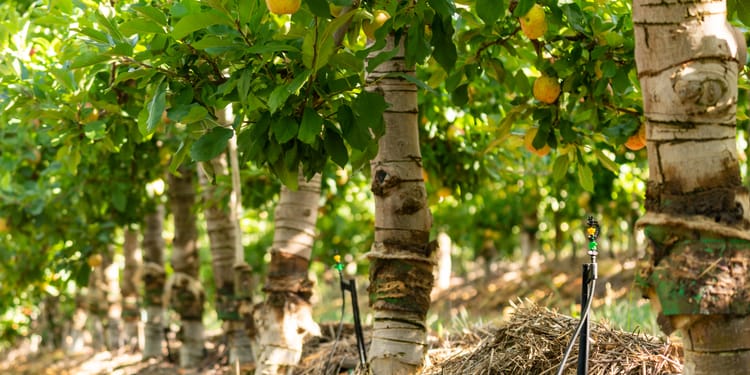 INNOVATION BY FARMERS, FOR FAMERS
