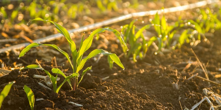 MONITOR EVERY BEAT OF YOUR CROPS