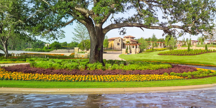 Stop Dry Spots, Root Intrusion, and Constant Irrigation Callbacks