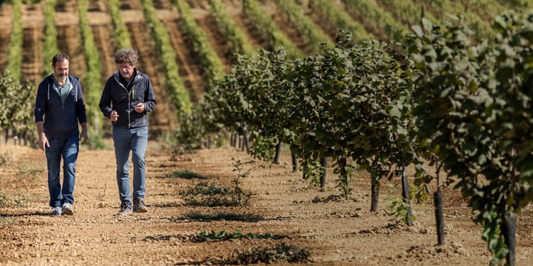 Solutions for Your Crops