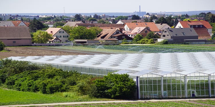 Commercial Greenhouse Structures
