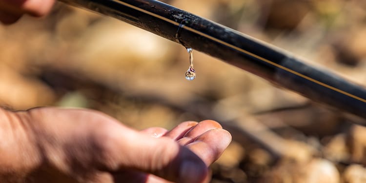 L'uso efficiente dell'acqua con l'irrigazione di precisione