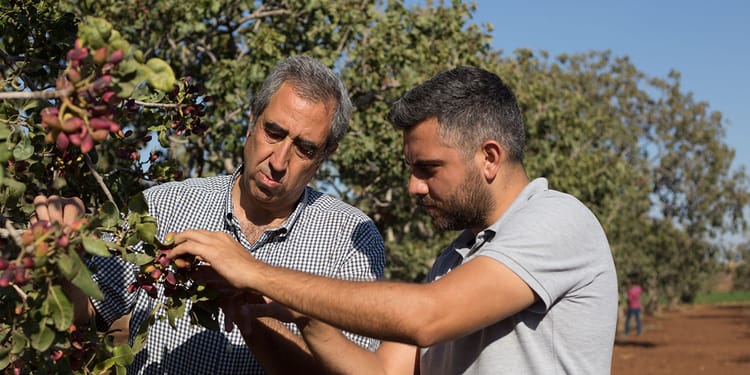 Tarımsal Bilgiler