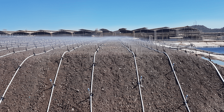 Products and Solutions for Your Mining Needs