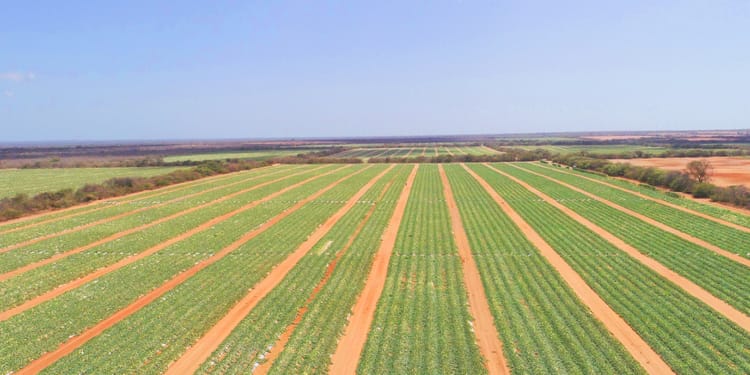 Precision Irrigation for Water Efficient Farming