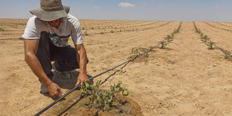 Precision irrigation: Power to the farmer