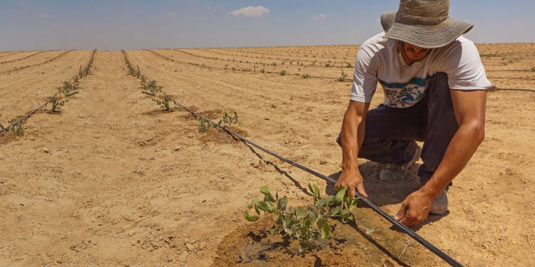 Irrigazione di precisione: il potere agli agricoltori