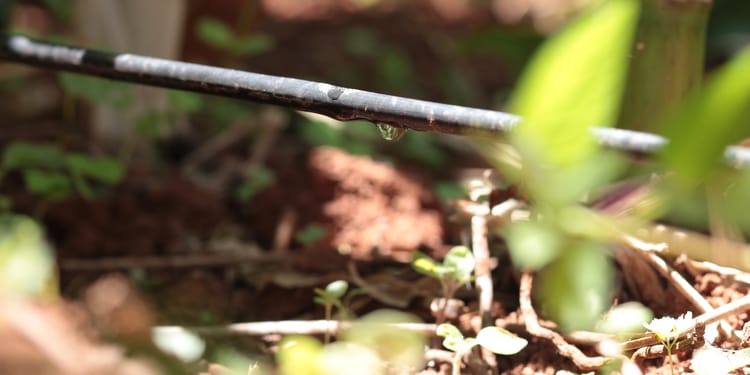Eficiência no uso da água com a irrigação inteligente 