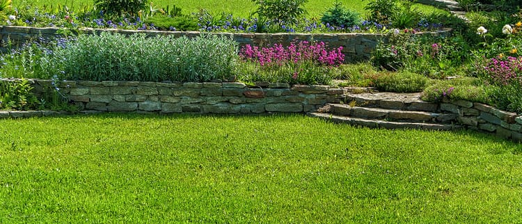 BENEFICIAL REUSE & DISPERSAL OF WASTEWATER