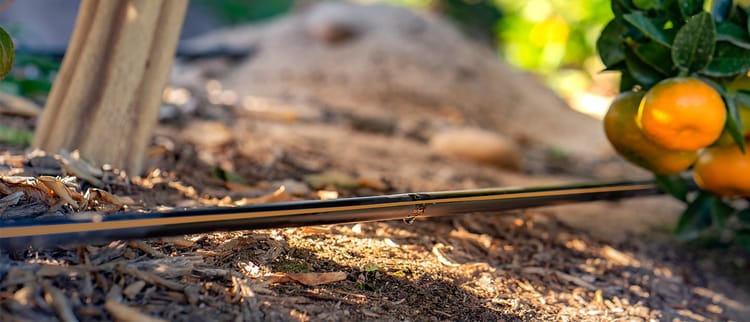 Heavywall Drip Lines