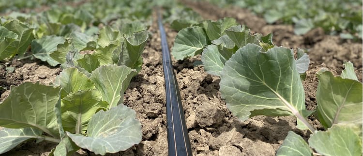 Funding Resources for Farmers