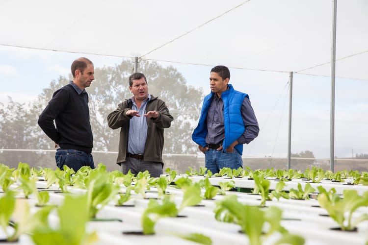 People in the field South Africa 