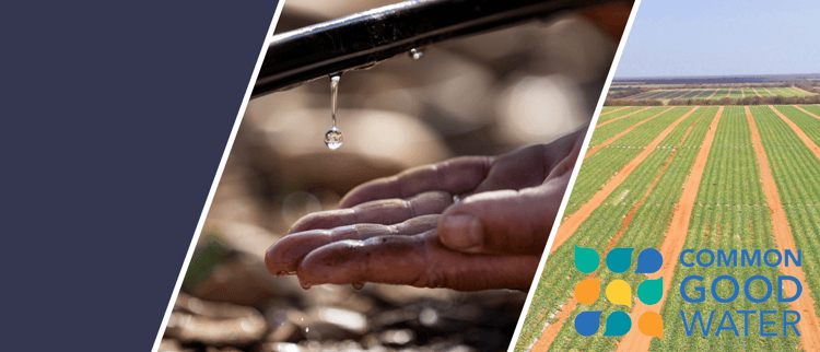 Common Good Water
