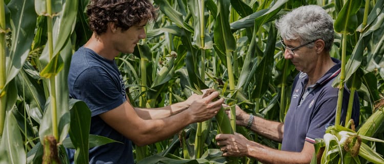 About Netafim North America