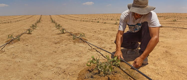Irrigação inteligente: Poder para o agricultor