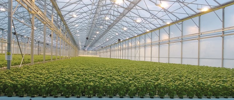 Soluzioni di irrigazione di precisione per colture protette