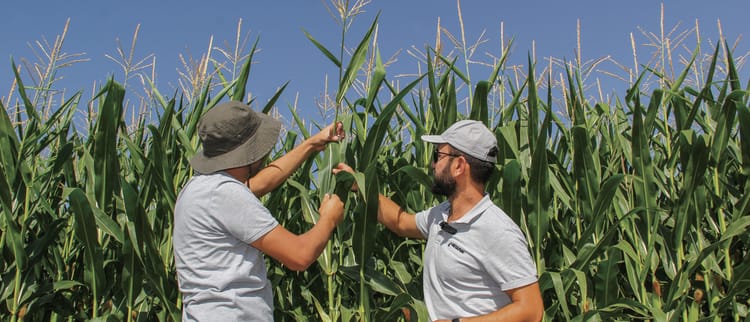 Çiftçiler tarafından, çiftçiler için inovasyon