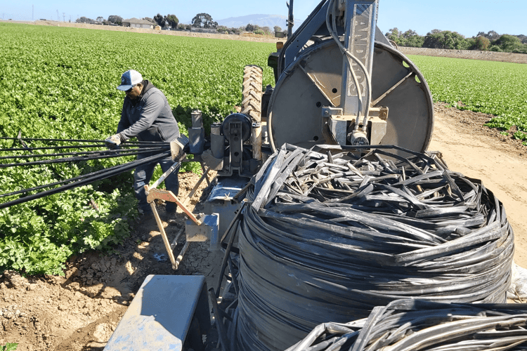 Zero-Waste in Farming