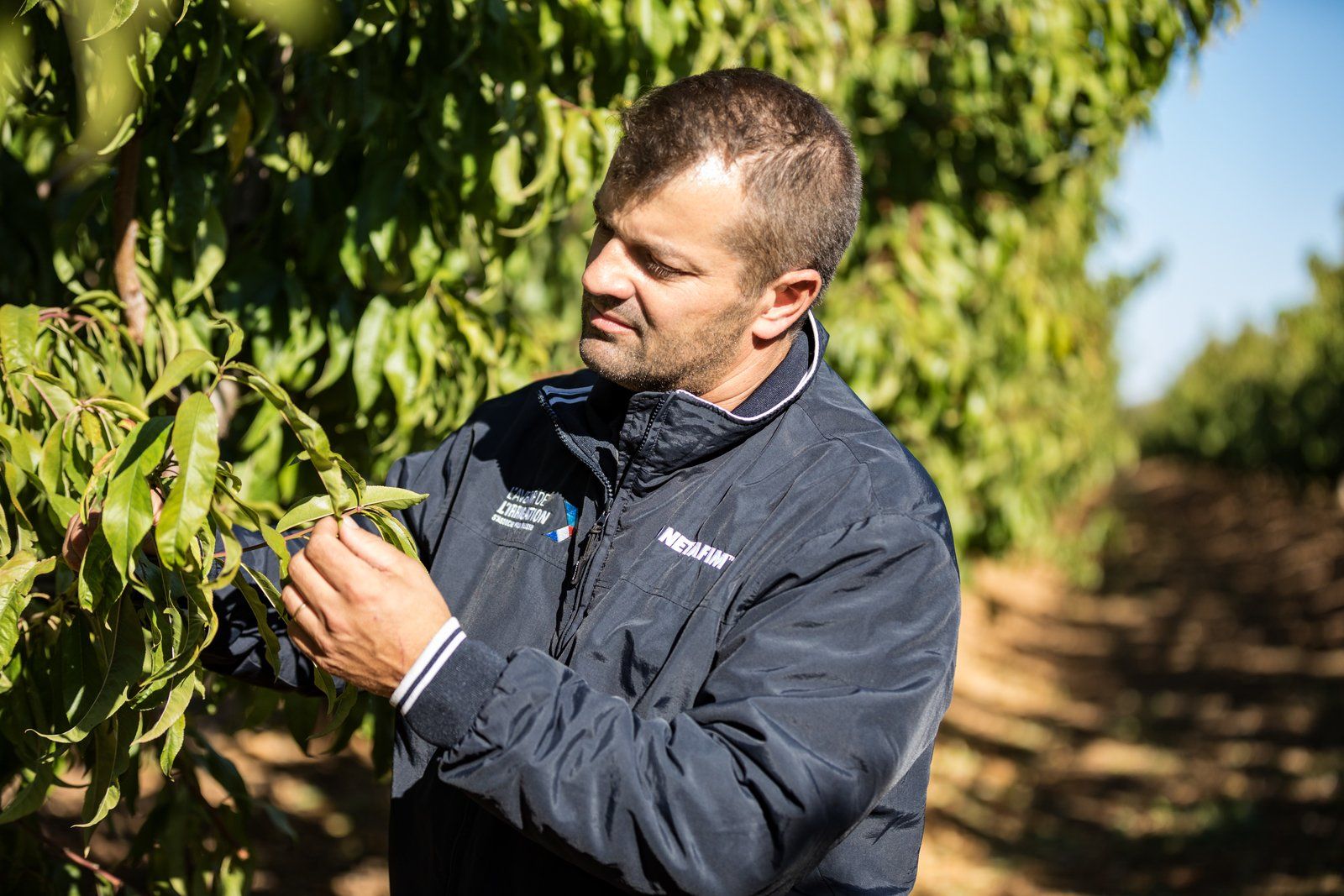 Global Irrigation Outlook: Worldwide Evolutions