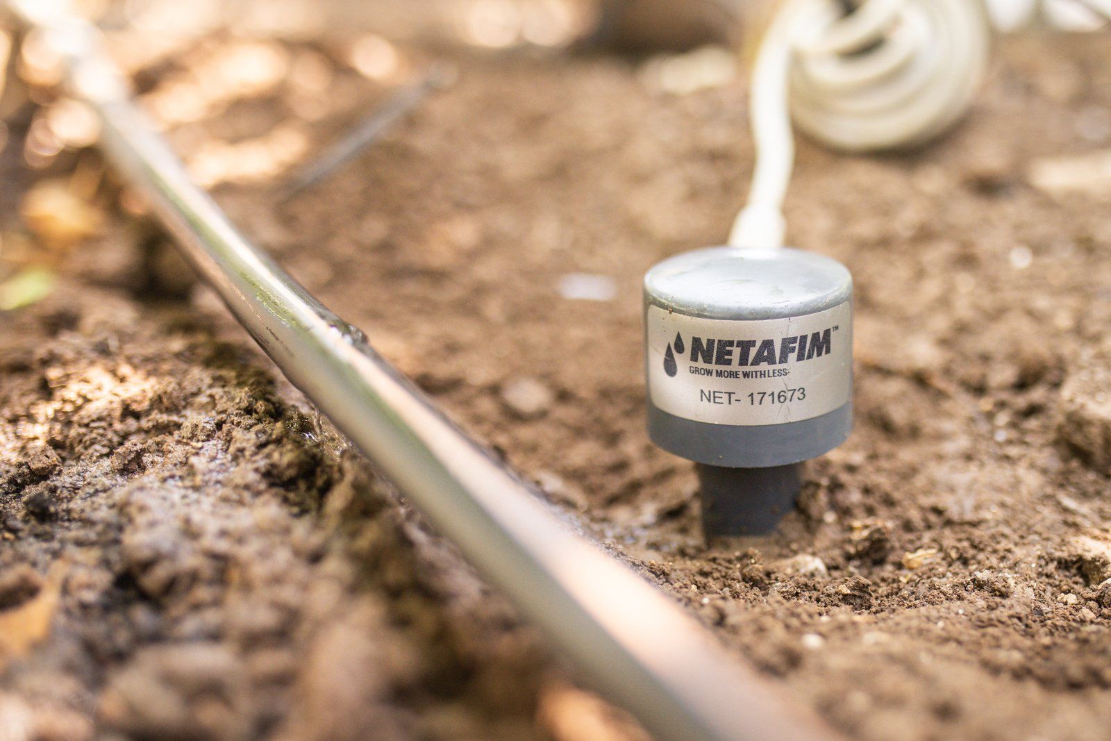 5 Questions Growers Should Ask Before Investing in New Tech