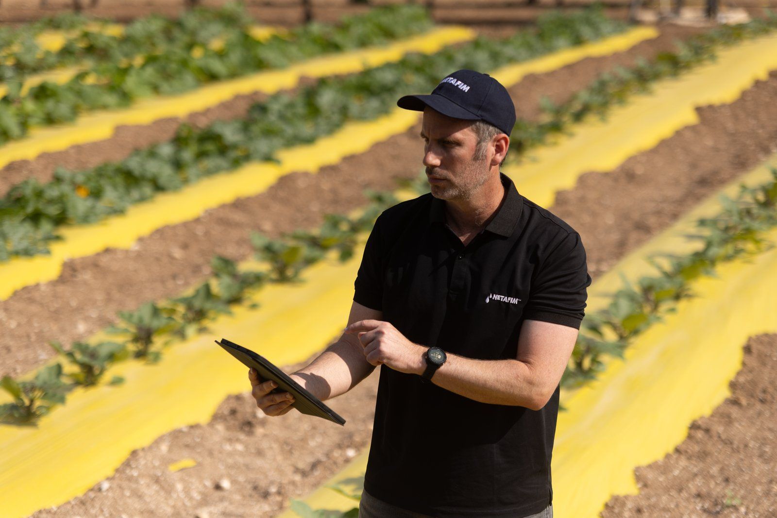 Growing More With Less: Agriculture In The Age Of Data