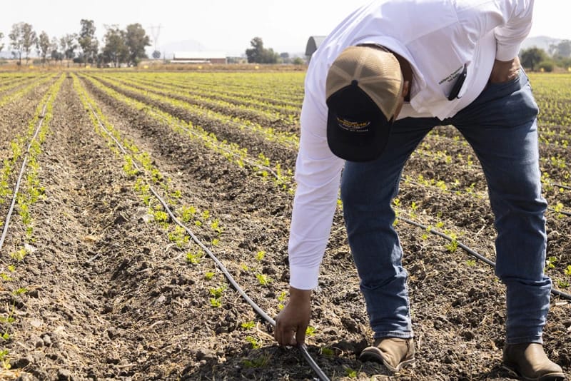 Microsoft-Partnered Project Funds Improved Irrigation in CA