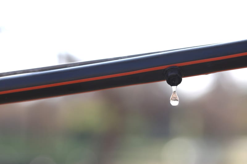 60 Years of Drip Irrigation: From a Kibbutz Experiment to Global Water Infrastructure