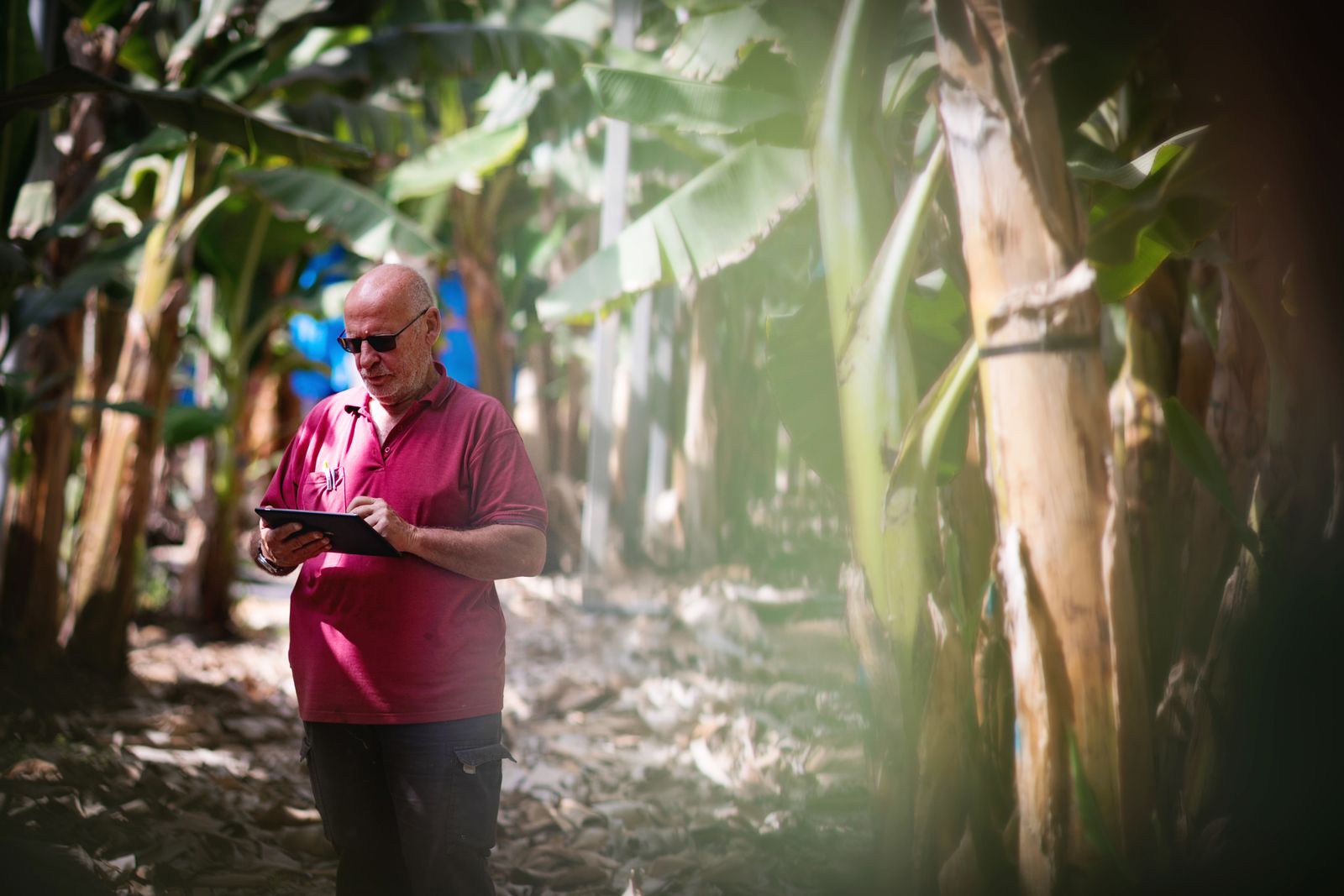 DIGITAL FARMING - ORCHARDS
