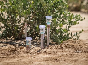 Soil moisture sensors