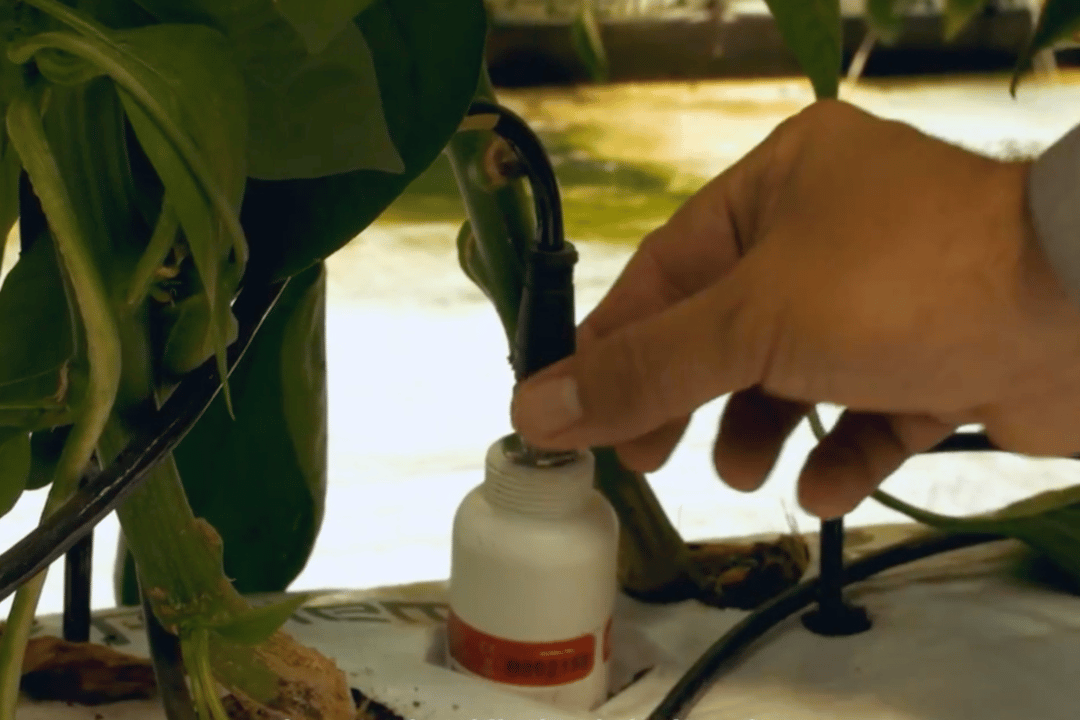 Monitorea las condiciones del cultivo y del campo en tiempo real