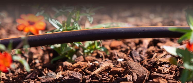 TECHLINE™  COPPER - The Only Element of Defense Against Root Intrusion