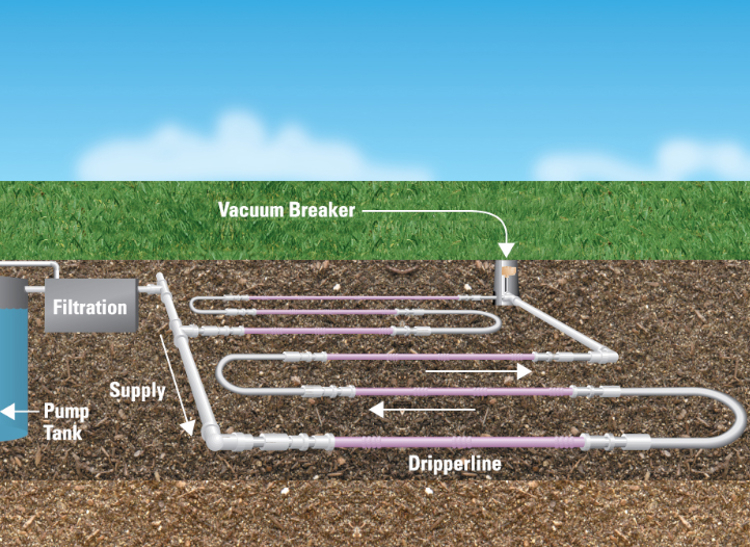 Diagram of how Netafim's wastewater recycling system cycles and reuses water to irrigate crops via driplines.