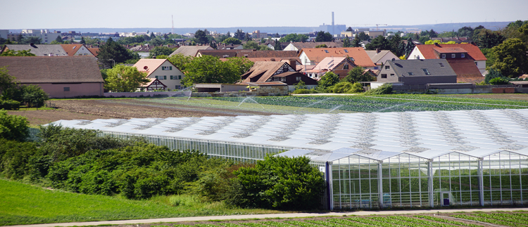 Commercial Greenhouse Structures
