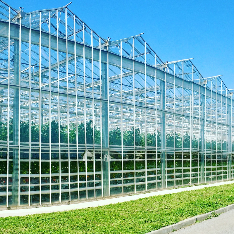Greenhouse Structure