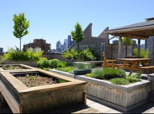Gorgeous City Rooftop Gardens