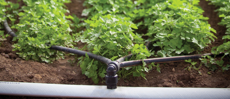 Products for precision irrigation supplies